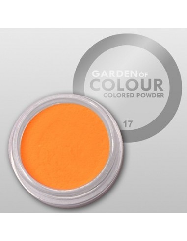 PÓ ACRILICO DE CÔR Nº17 | Virtualvantagem |