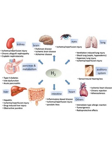 HIDROGENADOR DE ÁGUA HIDROGENADA ANTIOXIDANTE