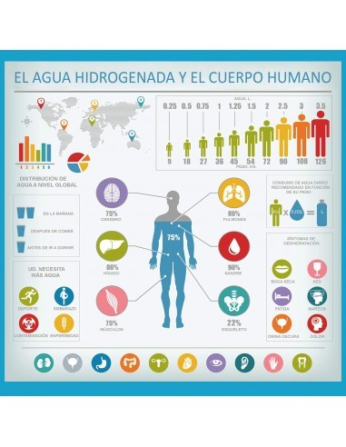 JARRO HIDROGENADOR DE ÁGUA 2 LITROS | Virtualvantagem |