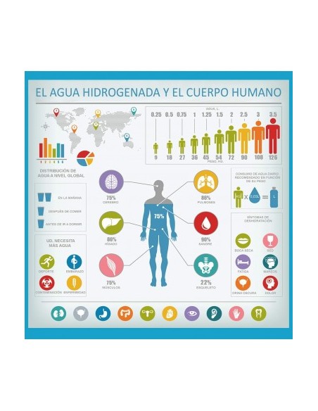 JARRO HIDROGENADOR DE ÁGUA 2 LITROS | Virtualvantagem |