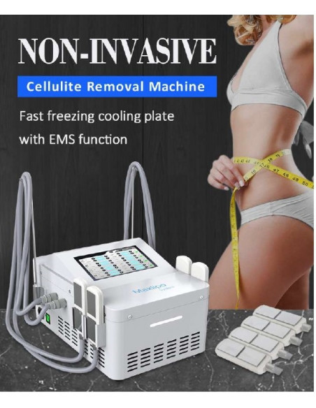 MAQUINA DE CRIOLIPOLISE DE PLACAS + EMS | Virtualvantagem | VRT.001.00070