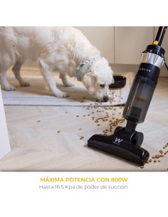 ASPIRADOR 2 EM 1 INFINITYPOWER V900 + ACESSÓRIO PELOS 2