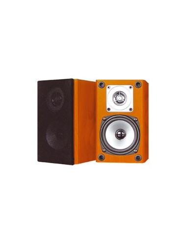 SISTEMA DE SOM ALTA VOZ  2 VIAS EM MADEIRA | Virtualvantagem |